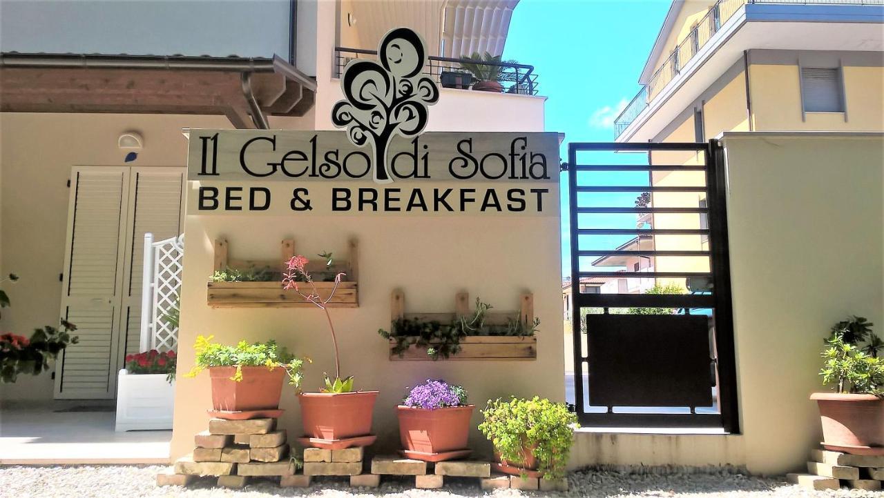 Il Gelso Di Sofia B&B Tortoreto Exterior foto